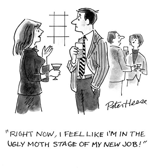 'Right now, I feel like I'm in the ugly moth stage of my new job!'