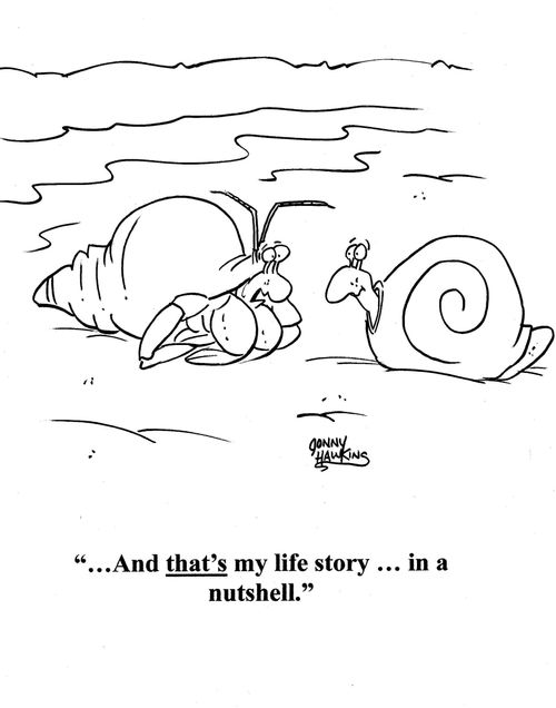Hermit crab to snail: '...And that's my life story in a nutshell.'