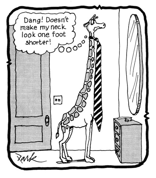 'Dang! Doesn't make my neck look one foot shorter!'