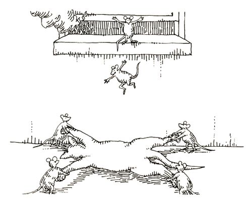101 uses of a dead cat: a mouses trampoline.