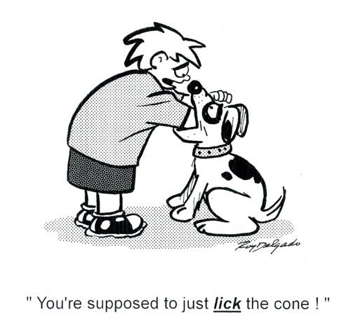 'You're supposed to just lick the cone!'