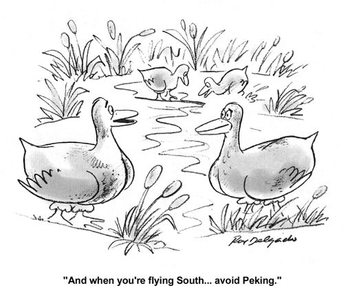 'And when you're flying South...avoid Peking.'