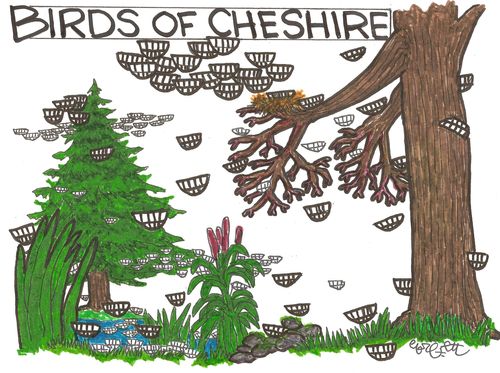 Birds of Cheshire.