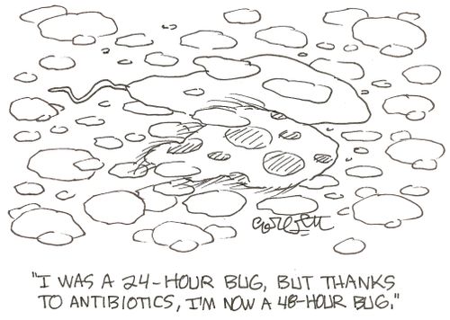 'I was a  24-hour bug, but thanks to antibiotics, I'm now a 48-hour bug.'