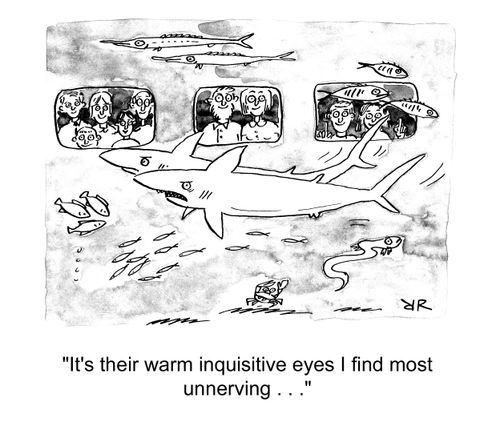 'It's their warm inquisitive eyes I find most unnerving. . .'