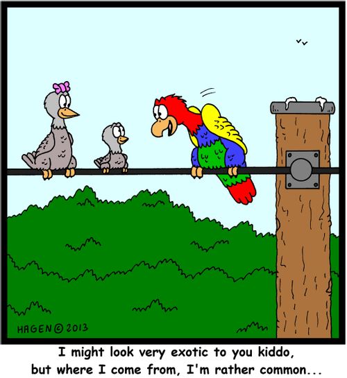 'I might look very exotic to you kiddo, but where I come from, I'm rather common...'