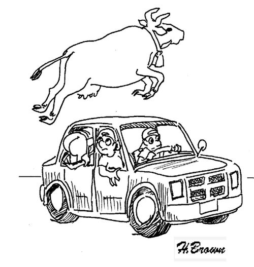 Cow jumps over moon