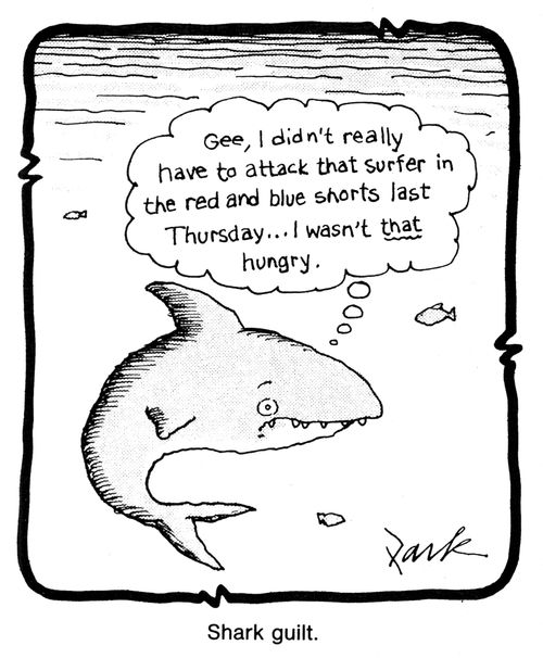 'Gee, I didn't really have to attack that surfer in the red and blue shorts last Thursday...I wasn't that hungry.'