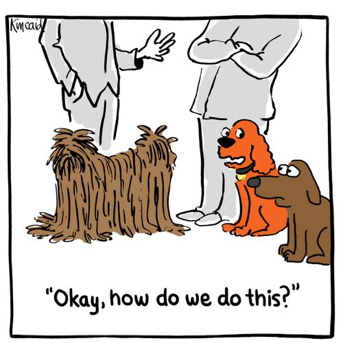 'Okay, how do we do this?'