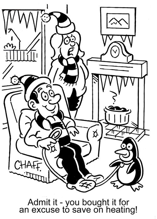 'Admit it - you bought it for an excuse to save on heating!'