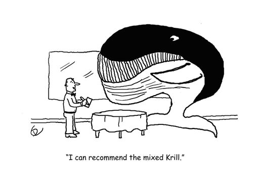 'I can recommend the mixed Krill.'