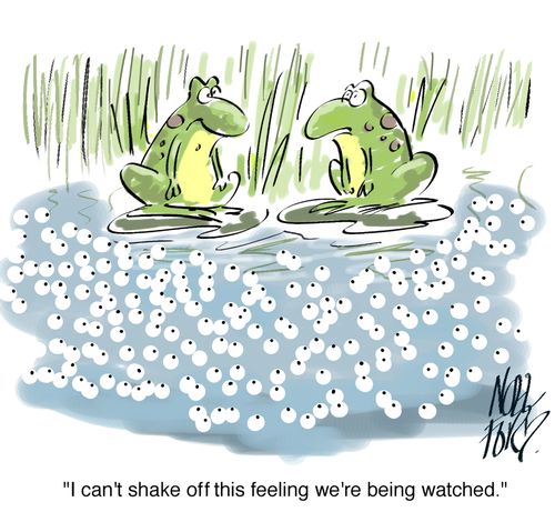 'I can't shake off this feeling we're being watched.'
