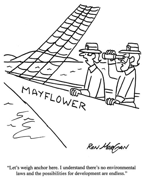 'Let's weight anchor here. I understand there's no environmental laws and the possibilities for development are endless.'