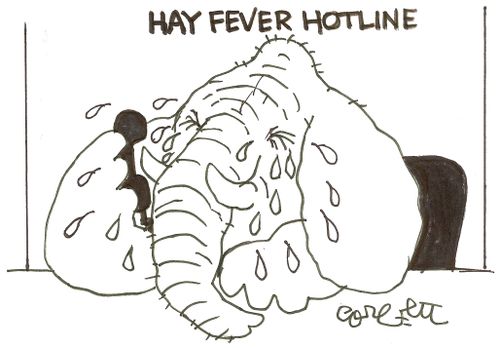 Hay fever hotline.