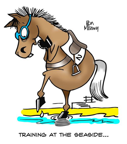 Race horse training at the seaside