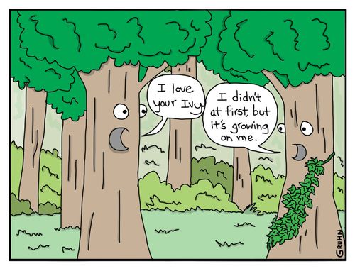"I Love Your Ivy."