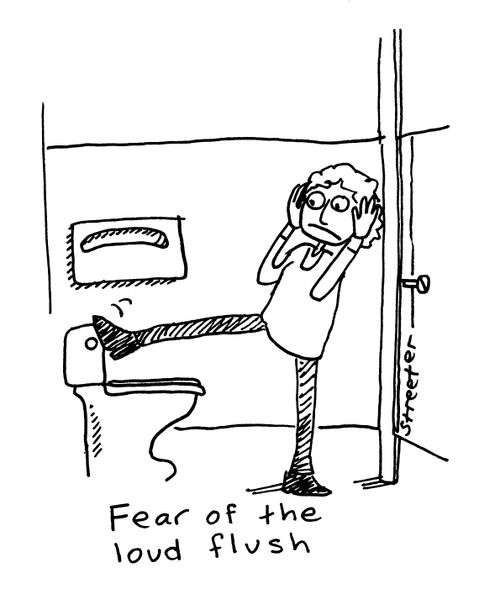 Fear of the loud flush