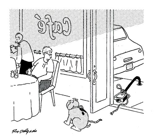 A Loyal Dog's Escape From The Parking Meter.