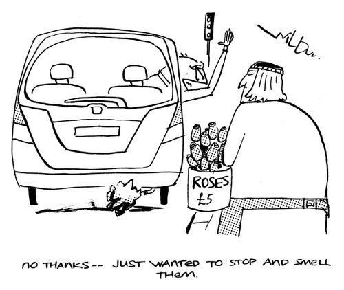 'No thanks - just wanted to stop and smell them.'
