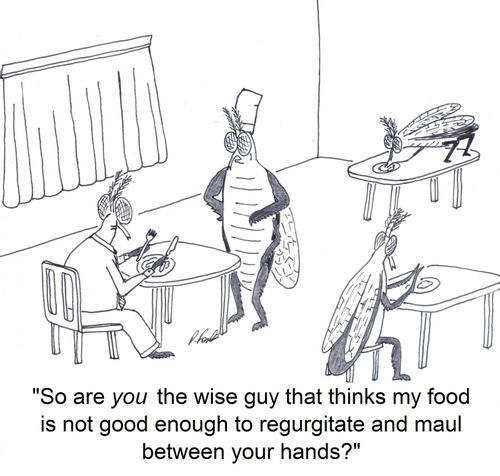 'So are you the wise guy that thinks my food is not good enough to regurgitate and maul between your hands?'
