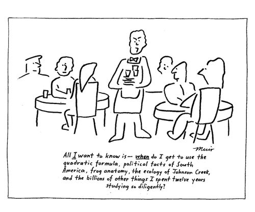 'All I want to know is--when do I get to use the quadratic formula, political facts of South America, frog anatomy, the ecology of Johnson Creek, and the billions of other things I spent twelve years studying so diligently?'