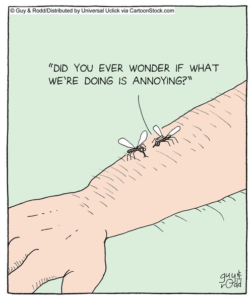 'Do you ever wonder if what we're doing is annoying?'