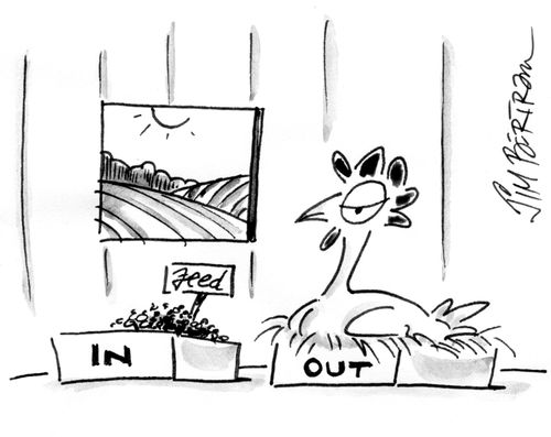 The Hen House Office