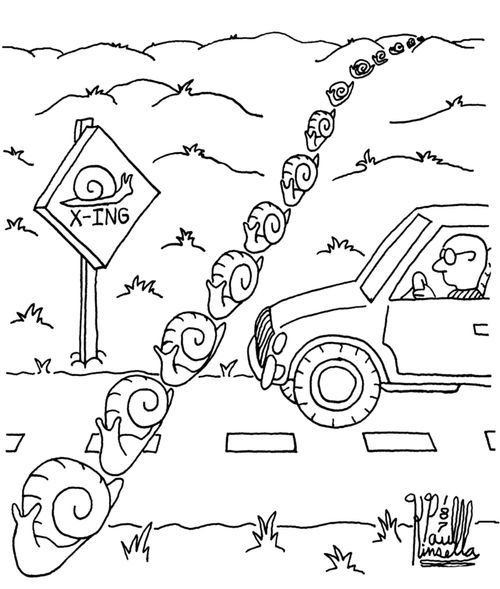 Snail crossing