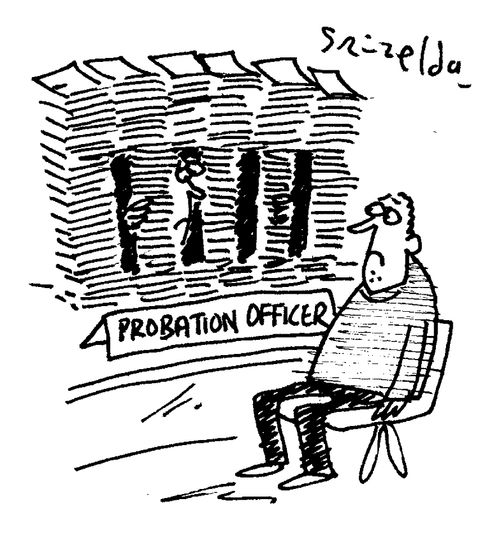 Probation Officer