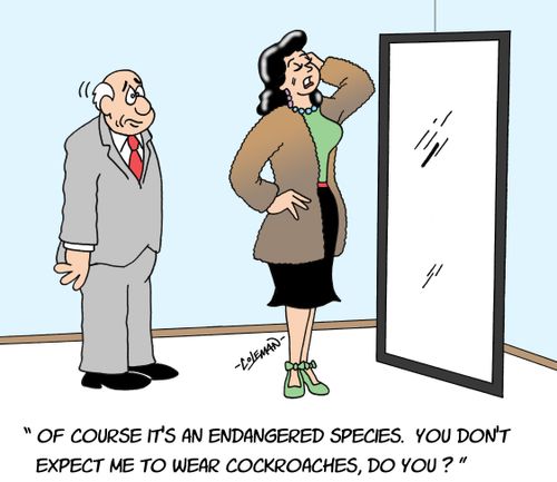 'Of course it's an endangered species.  You don't expect me to wear cockroaches, do you?'