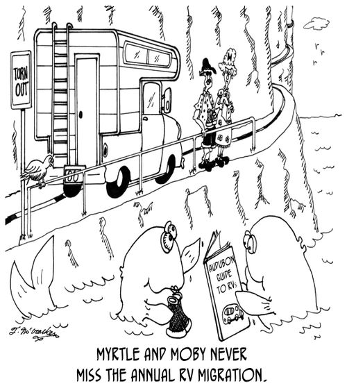 Myrtle and Moby never miss the annual RV migration.