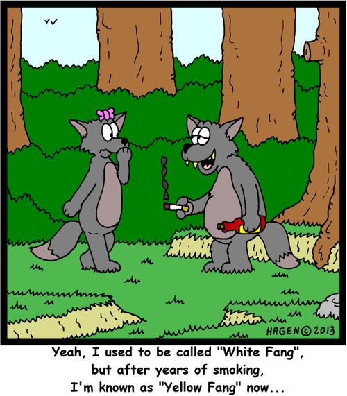 'Yeah, I used to be called 'White Fang', but after years of smoking, I'm known as 'Yellow Fang' now...'