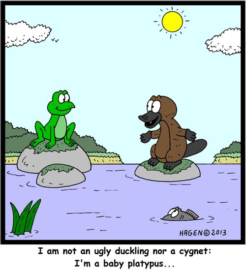 'I am not an ugly duckling nor a cygnet: I'm a baby platypus...'
