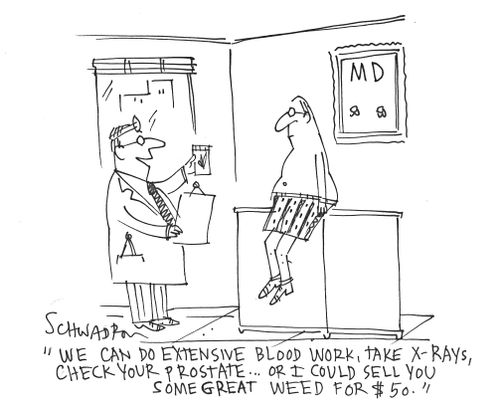 'We can do extensive blood work, take x-rays, check your prostate. . .or I could sell you some great weed for $50.'