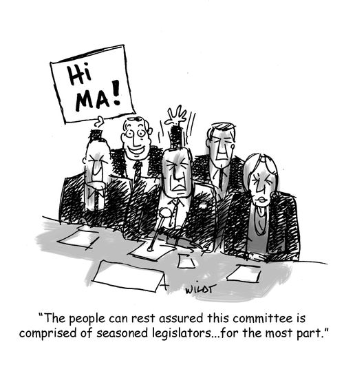 'The people can rest assured this committee is comprised of seasoned legislators...for the most part.'