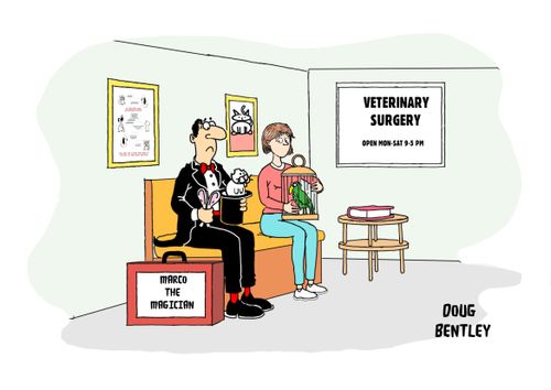 Magician at vets with rabbit with no ears.