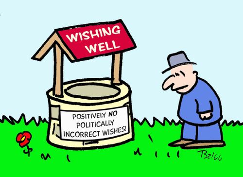 Wishing Well: Positively No Politically Incorrect Wishes!