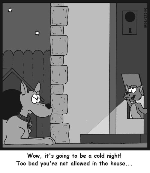 Wow, it's going to be a cold night! Too bad you're not allowed in the house...