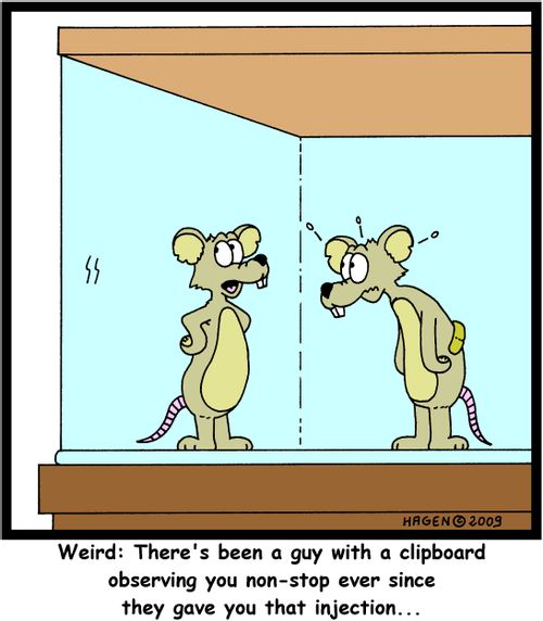 'Weird: There's been a guy with a clipboard observing you non-stop ever since they gave you that injection...'