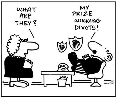 'What are they?' 'My prize winning divots!'