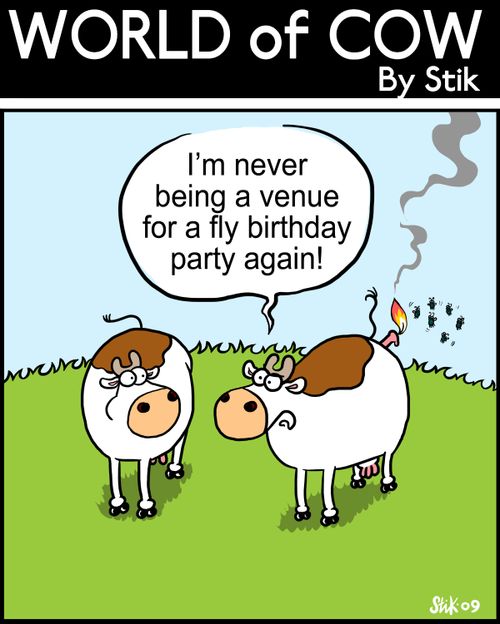 I'm never being a venue for a fly birthday party again!
