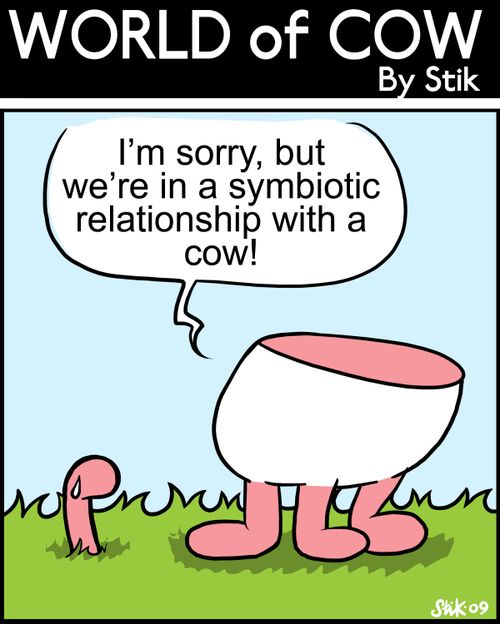 I'm sorry, but we're in a symbiotic relationship with a cow!