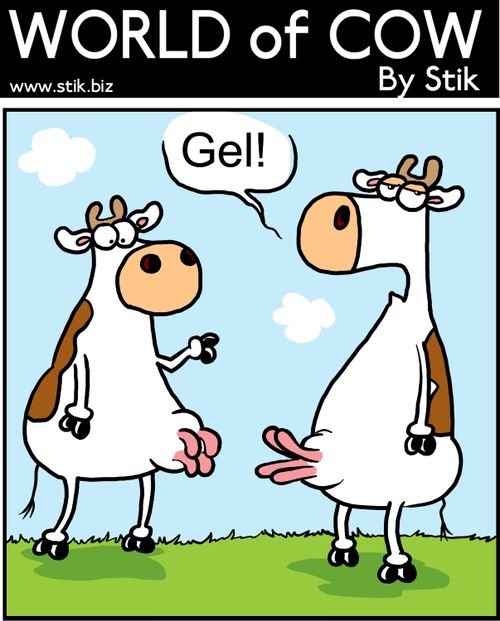 Gel!
