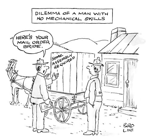 Dilemma of a man with no mechanical skills (Mail order bride requires some assembling).