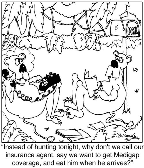 'Instead of hunting tonight, why don't we call our insurance agent, say we want to get Medigap coverage, and eat him when he arrives?'
