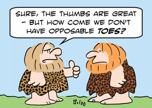 'Sure, the thumbs are great -- but how come we don't have opposable toes?'