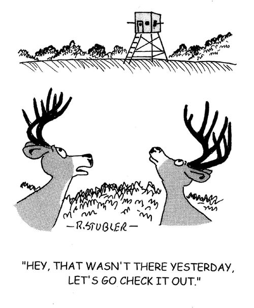 'Hey,that wasn't there yesterday,let's go check it out.'