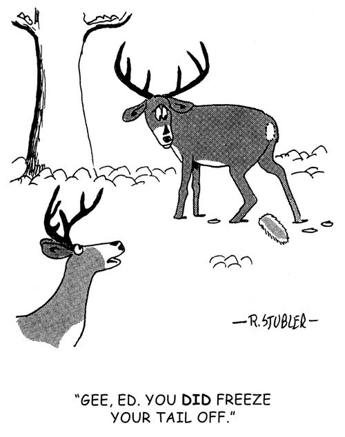 'Gee, Ed, you DID freeze your tail off.'