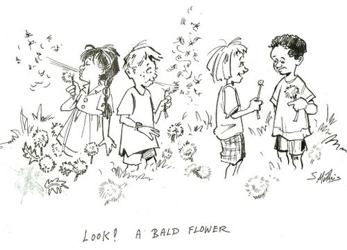 'Look! A bald flower.'