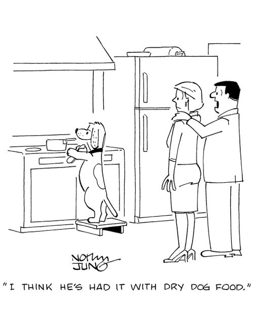 'I think he's had it with dry dog food.'